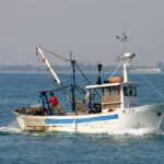 Flotta romagnola paralizzata: il mare è vuoto e i costi affondano i pescatori