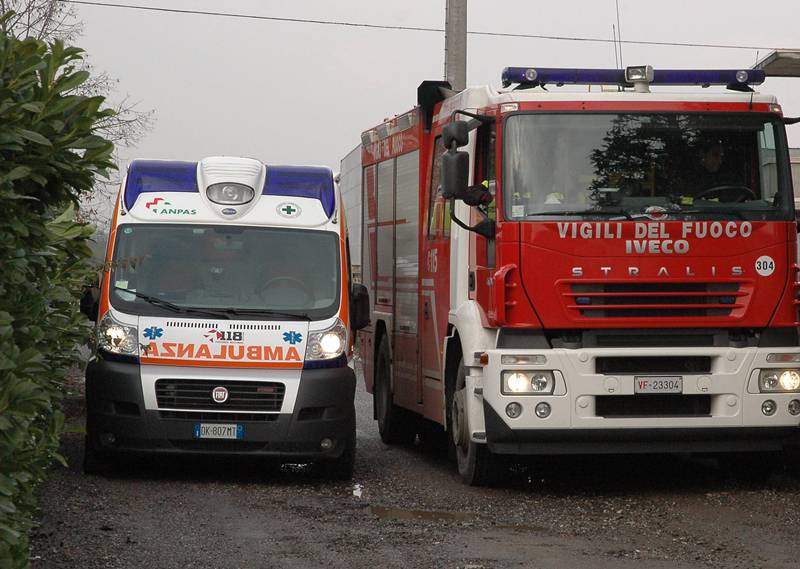 Vola giù dall’albero di olivo: paura per un anziano nel riminese
